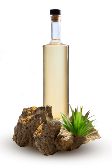 Oil City Products
