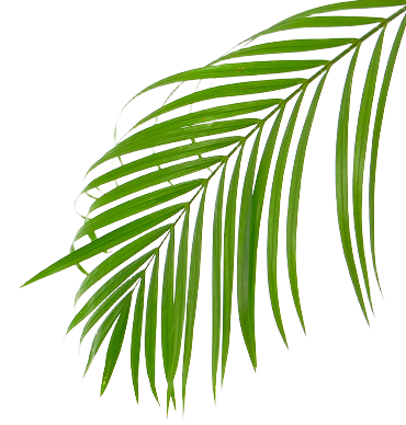 Decorative leaf